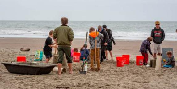 Learn to Build a Sandcastle