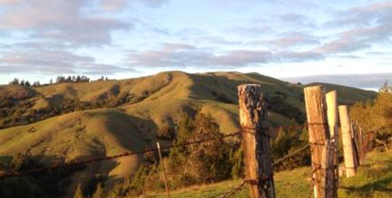Hike to the Summit