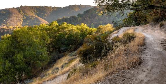 Ridge Trail Service Day