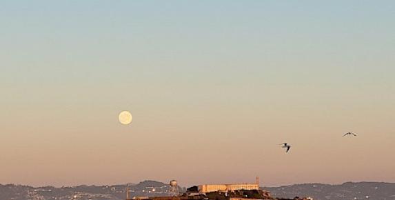 Harvest Moon Sail on Freda B