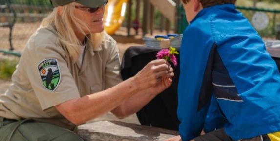 Art in the Park: Seasonal Suncatchers