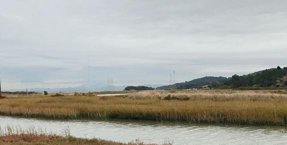 Landscape Stewardship