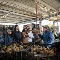 The Whole Hog Experience at Hog Island Oyster Farm