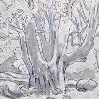 Nature Journaling Retreat with John Muir Laws at Slide Ranch