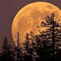 SuperMoon Evening at Slide Ranch