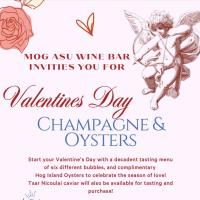 Mog Asu's Champagne & Oysters Party
