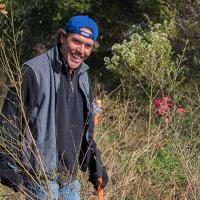 Broom Pull