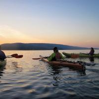 Bioluminescence Kayak Tour on Tomales Bay with Blue Waters Kayak…