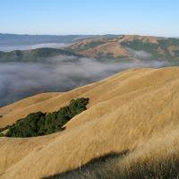Big Rock Sunrise Hike