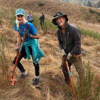 Broom Busters
