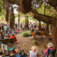 Flower Piano at the San Francisco Botanical Garden
