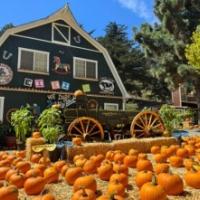 Lemos Farm Pumpkin Patch