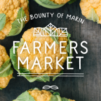 Farmers Market at Town Center (Every Wednesday)