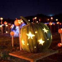 Pumpkins on Pikes