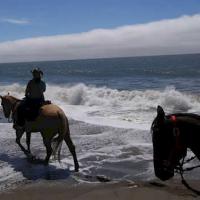 Wildcat Beach Guided Horseback Ride at Five Brooks Ranch