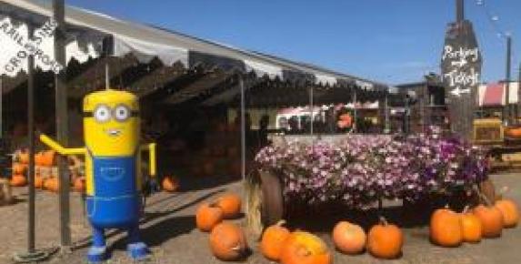 Pronzini Pumpkin Patch