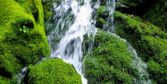 Waterfall Hike
