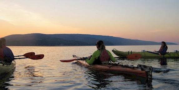 Bioluminescence Kayak Tour on Tomales Bay with Blue Waters Kayak…