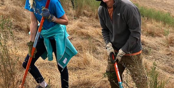 Broom Busters