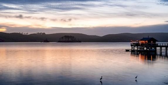 Sunset Kayak Tours on Tomales Bay with Kayak & Connect