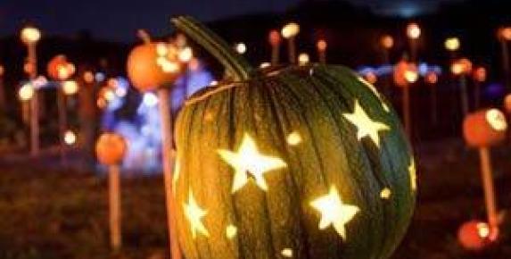 Pumpkins on Pikes